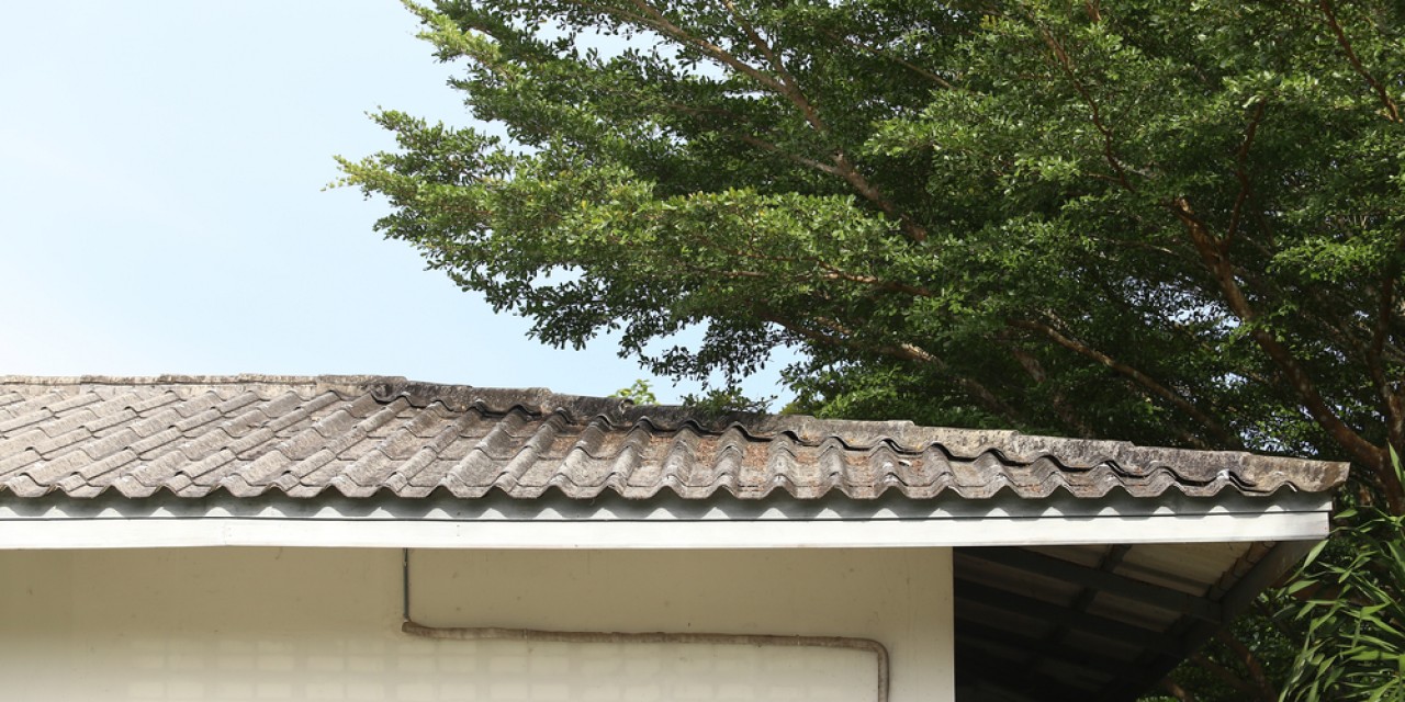 Tree damage and insurance