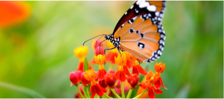 How to claim travel insurance