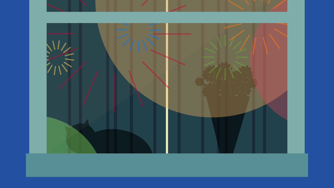 Bonfire night safety