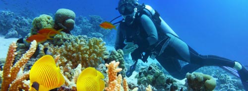 Adventurous sports safety