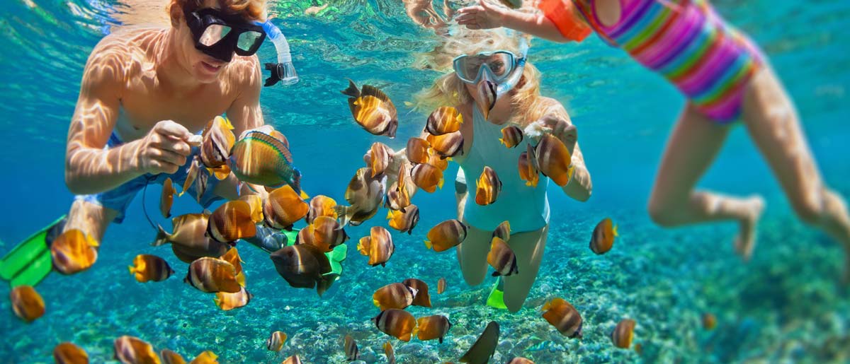 Annual travel insurance