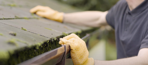 How to check your roof for damage