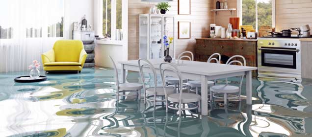 What to do if your house floods