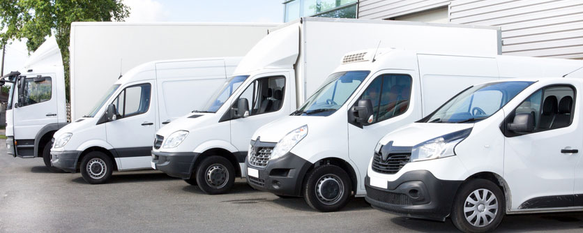 Which van should I buy?